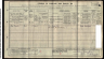 1911 Census - Ann Carr Grimston
